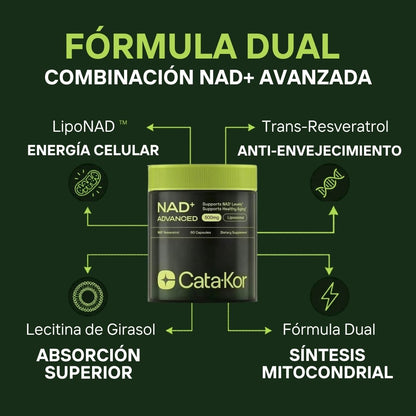 NAD CATA-KOR